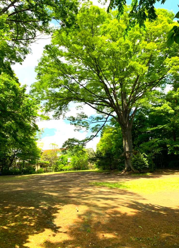 野川・国分寺崖線