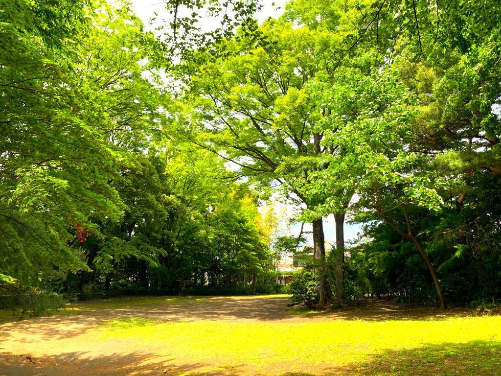 野川・国分寺崖線