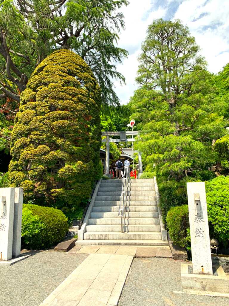 野川・国分寺崖線