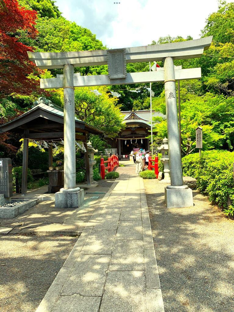 野川・国分寺崖線