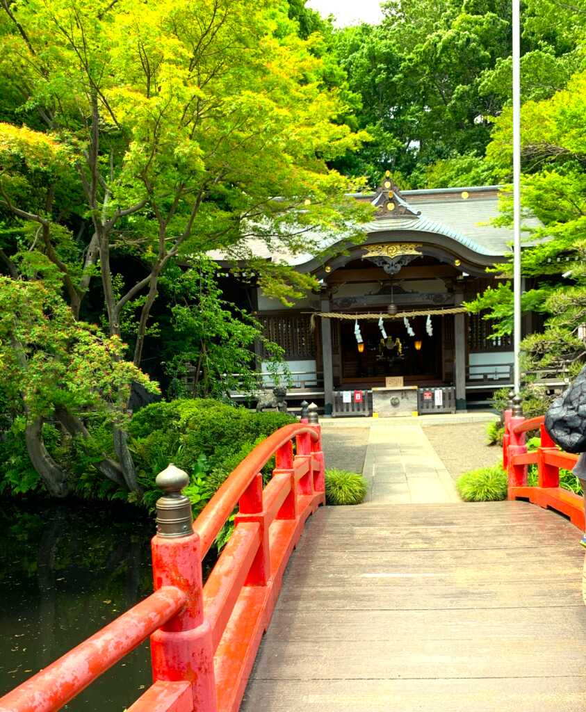 野川・国分寺崖線