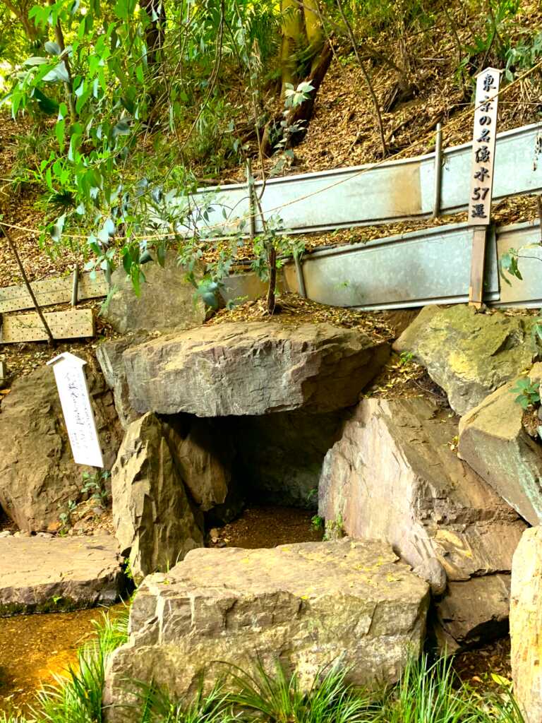 野川・国分寺崖線