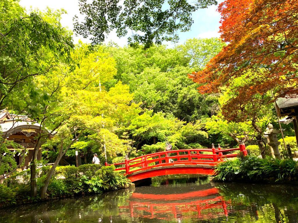 野川・国分寺崖線