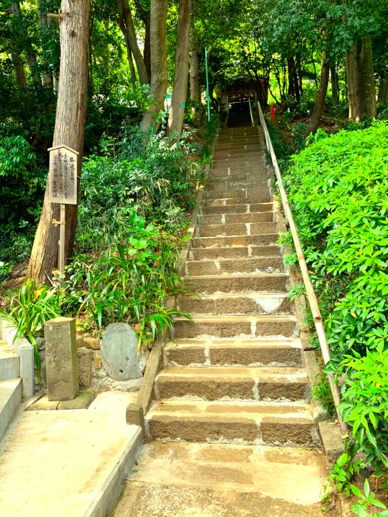 野川・国分寺崖線