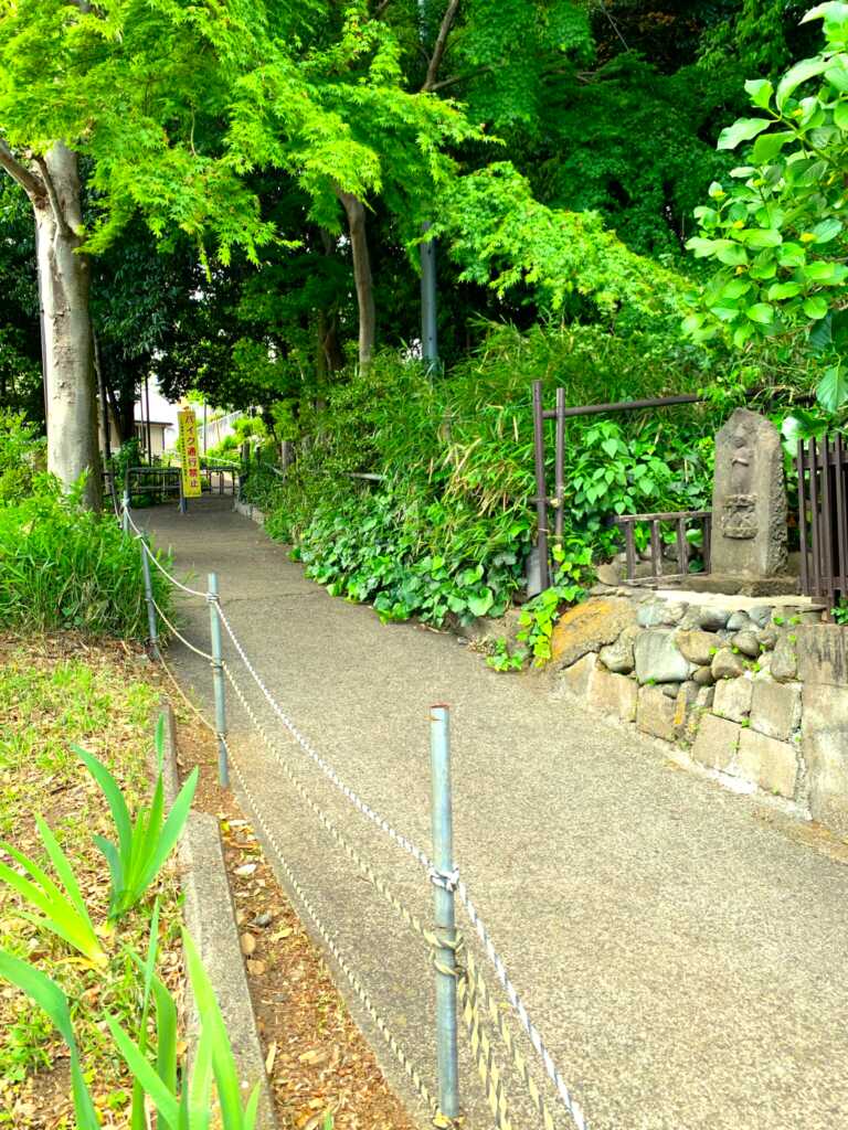 野川・国分寺崖線