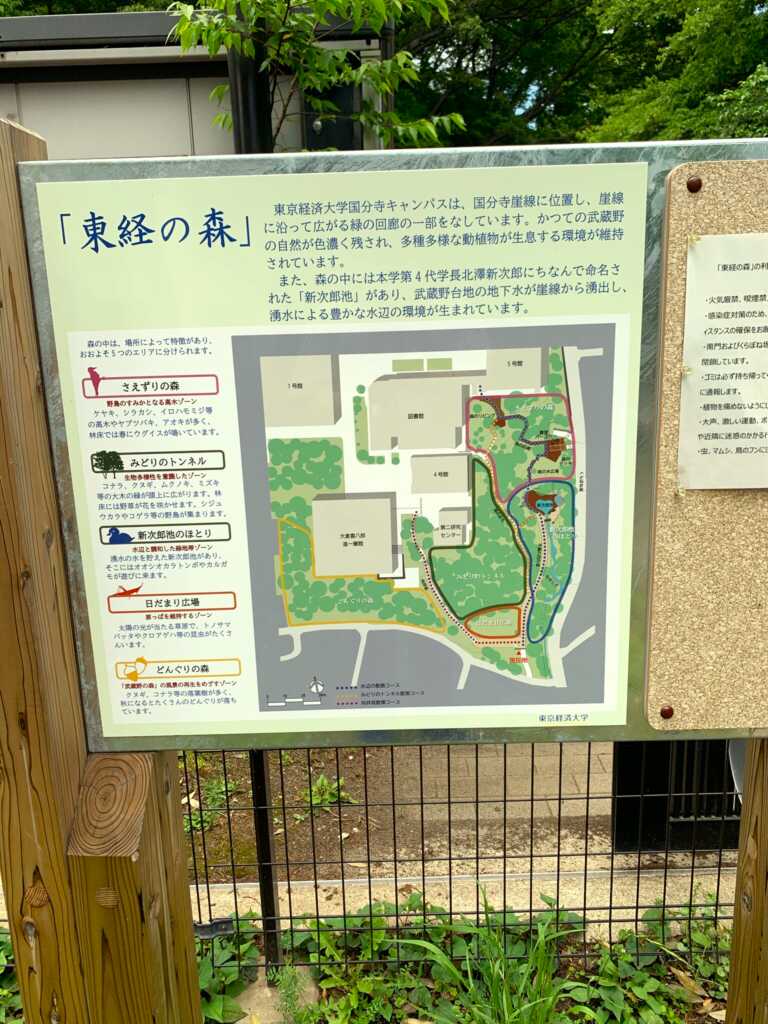 野川・国分寺崖線