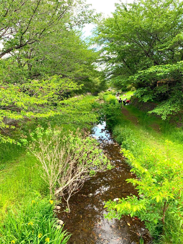 野川・国分寺崖線