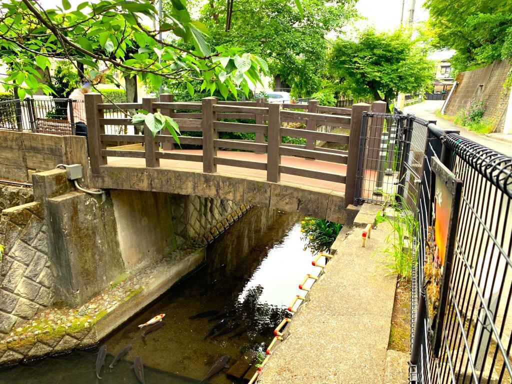 野川・国分寺崖線