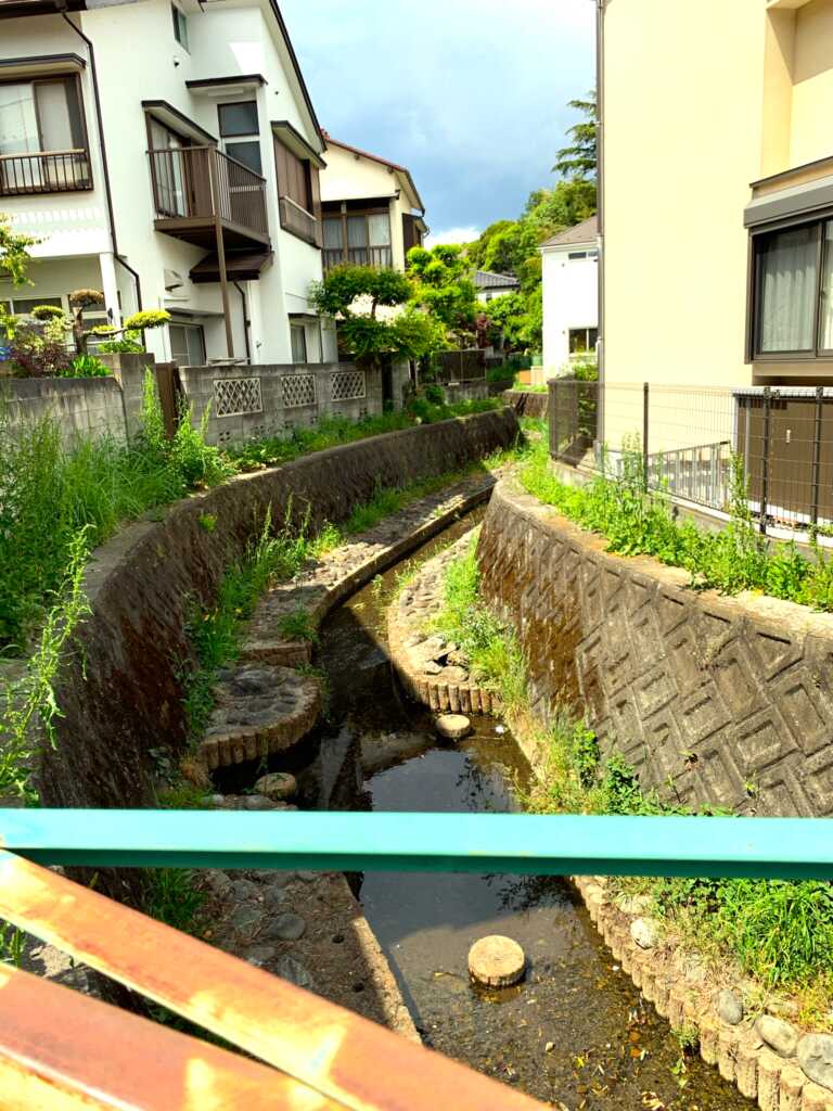 野川・国分寺崖線