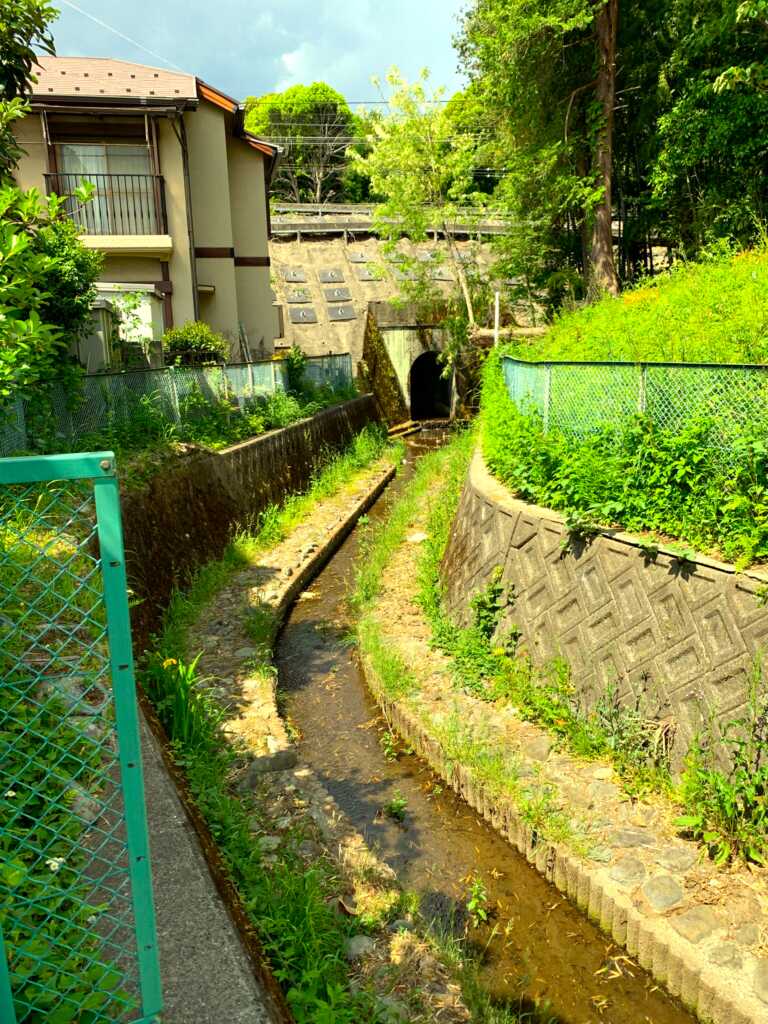 野川・国分寺崖線