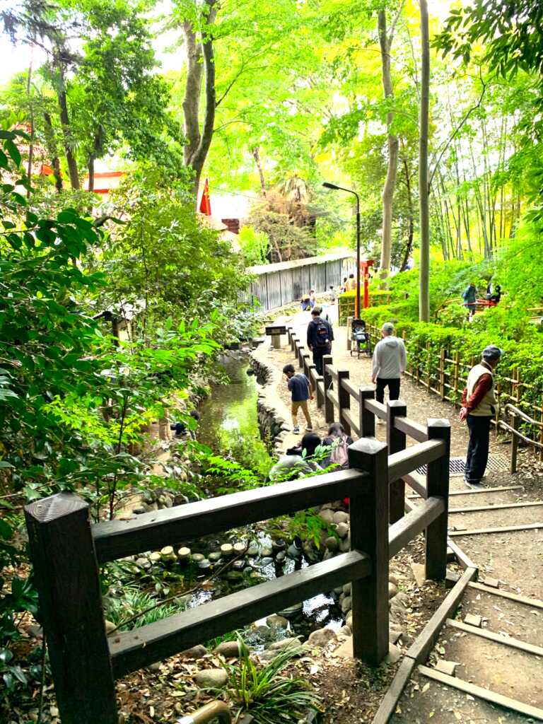 野川・国分寺崖線