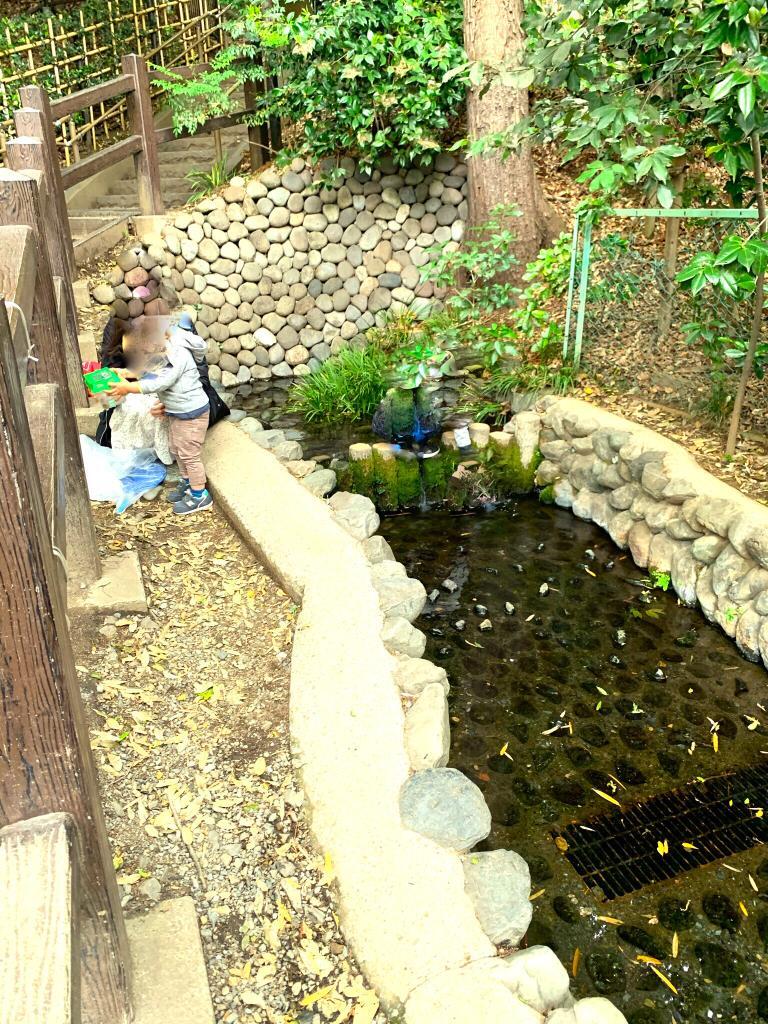 野川・国分寺崖線