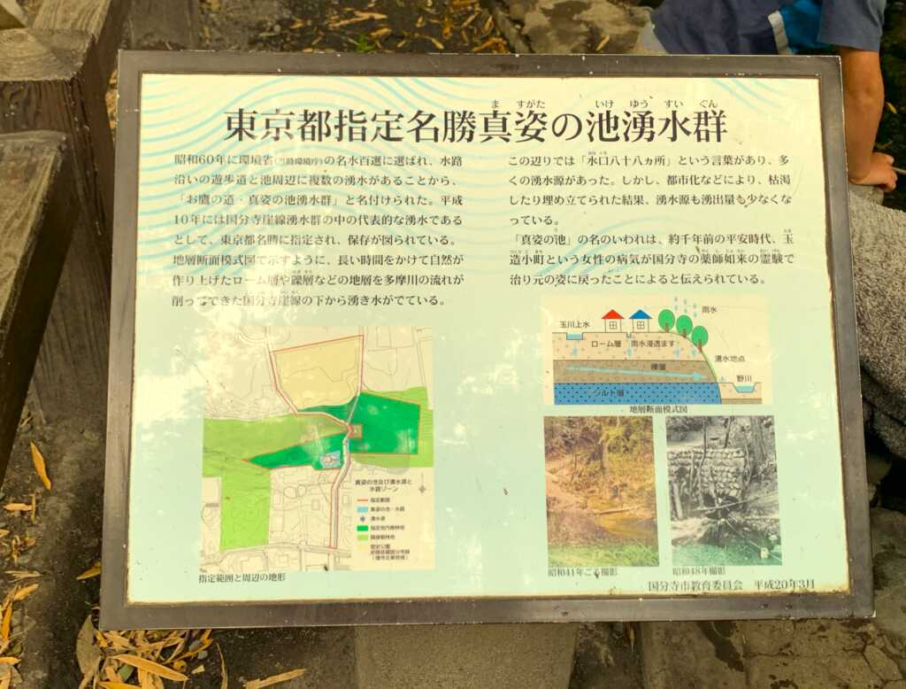 野川・国分寺崖線