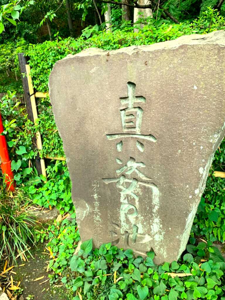 野川・国分寺崖線