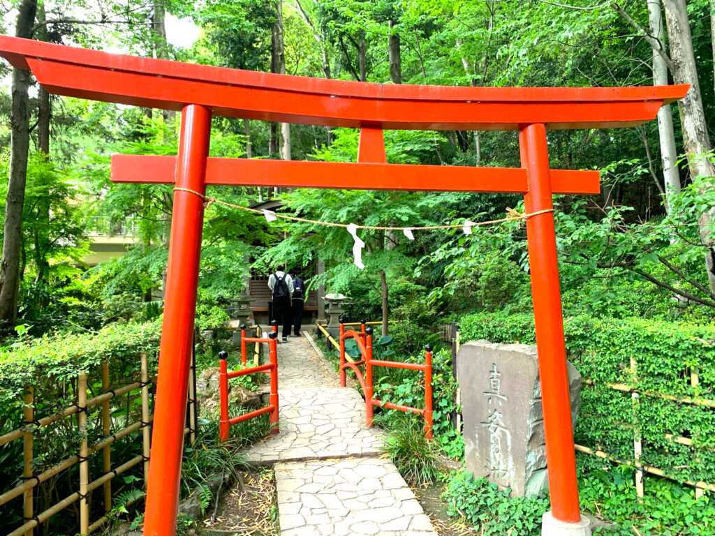 野川・国分寺崖線