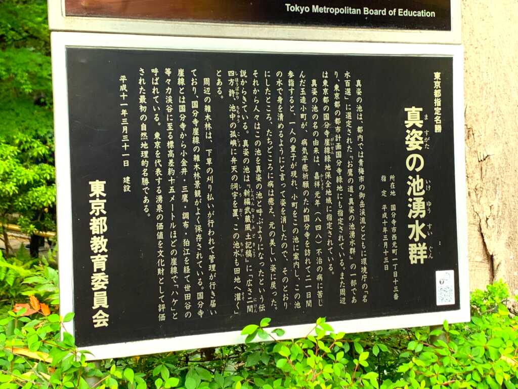 野川・国分寺崖線