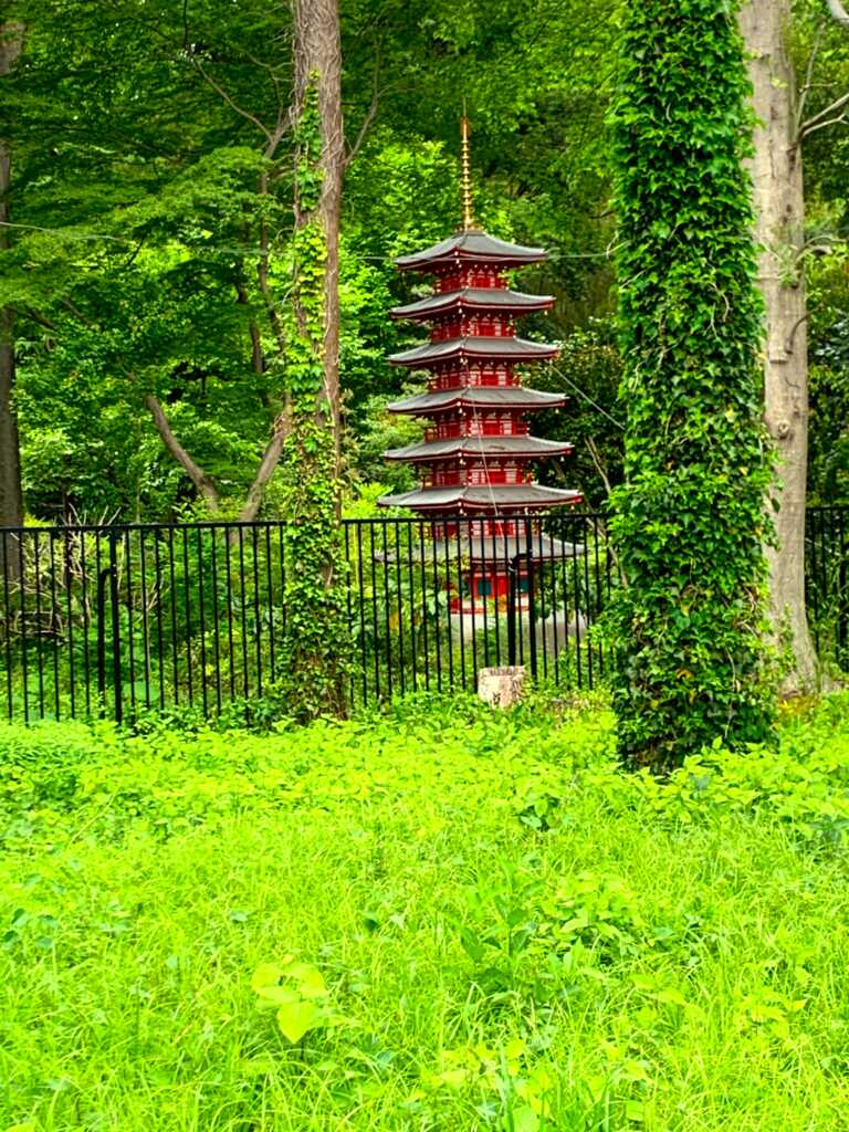 お鷹の道・真姿の池湧水群一帯