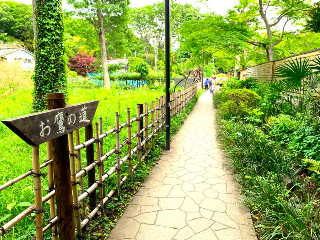 お鷹の道・真姿の池湧水群一帯
