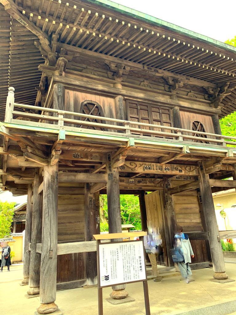 野川・国分寺崖線