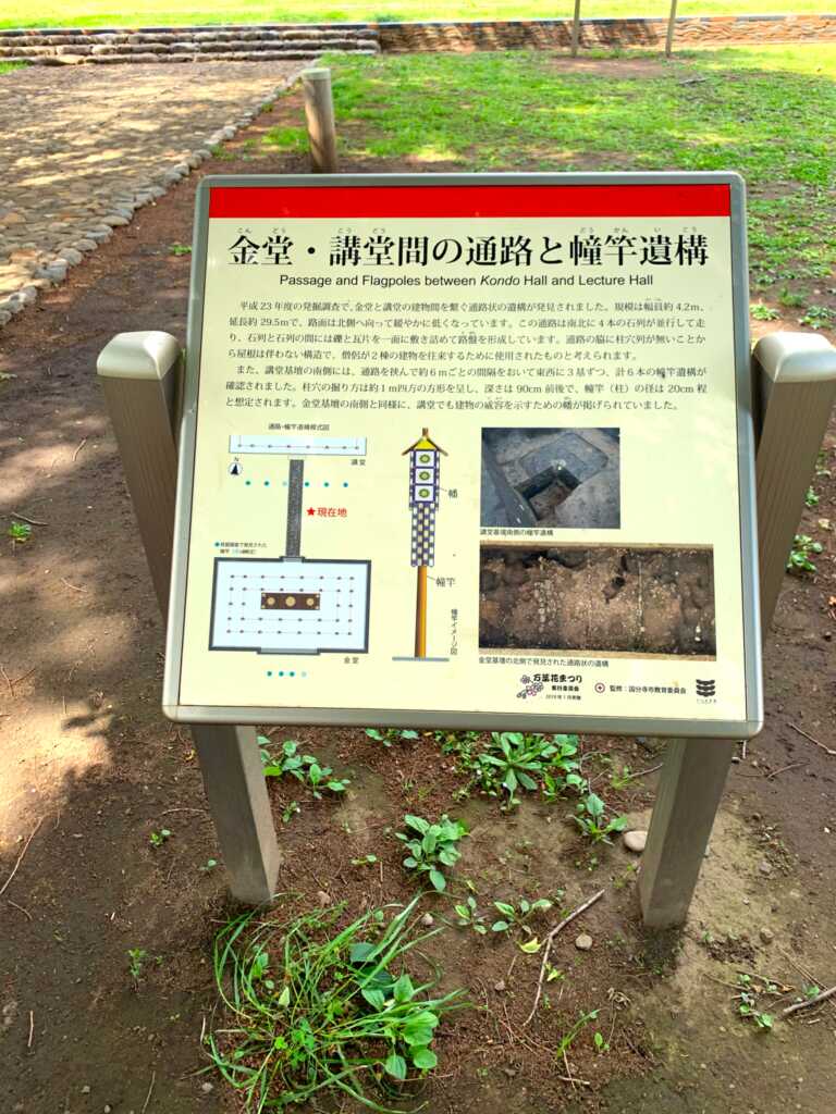野川・国分寺崖線