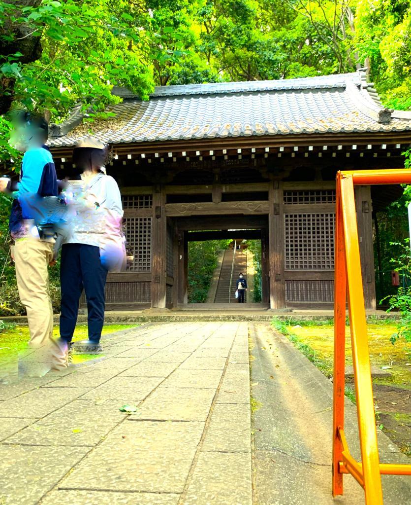 野川・国分寺崖線