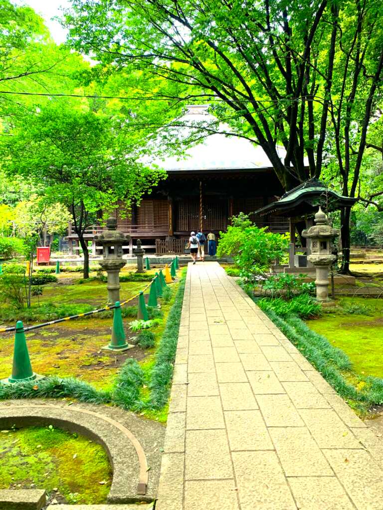 野川・国分寺崖線