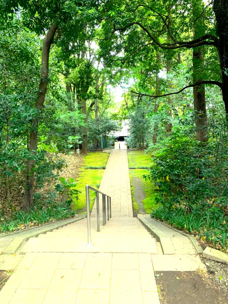 野川・国分寺崖線