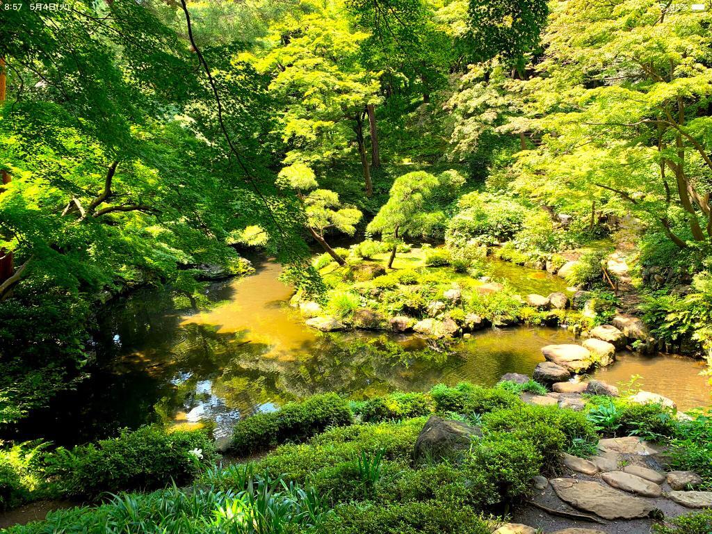 野川・国分寺崖線