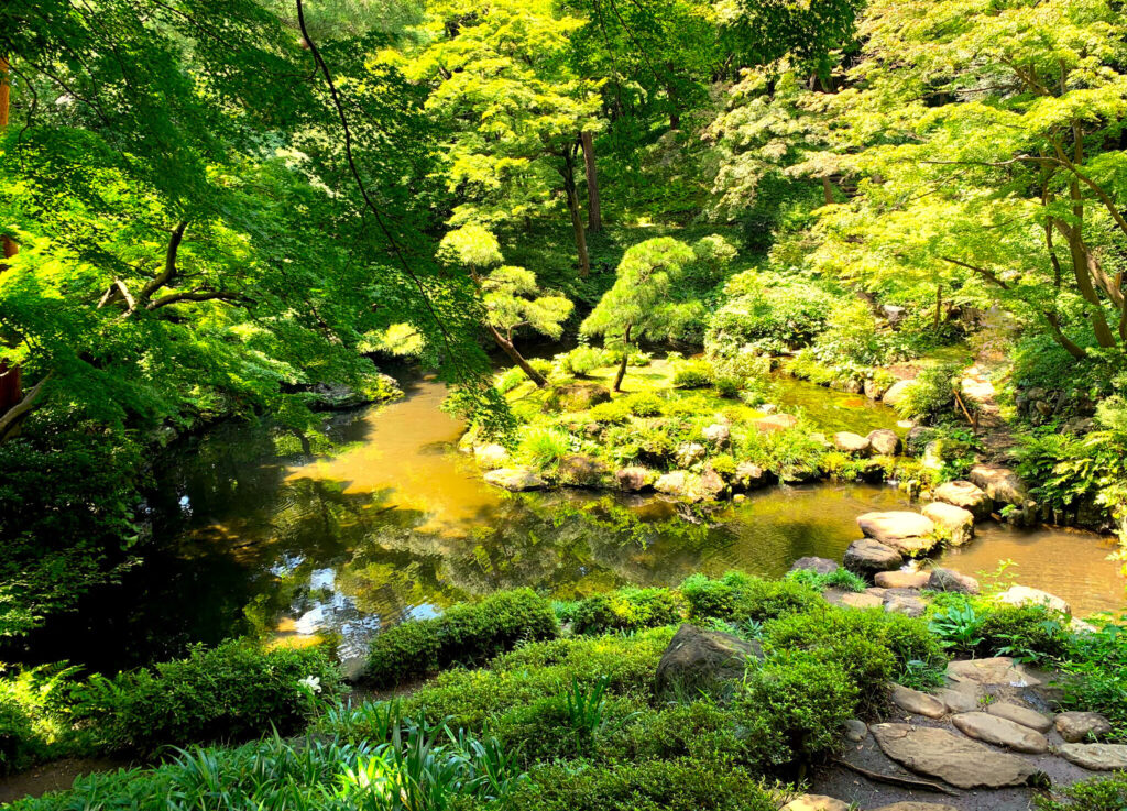 野川・国分寺崖線
