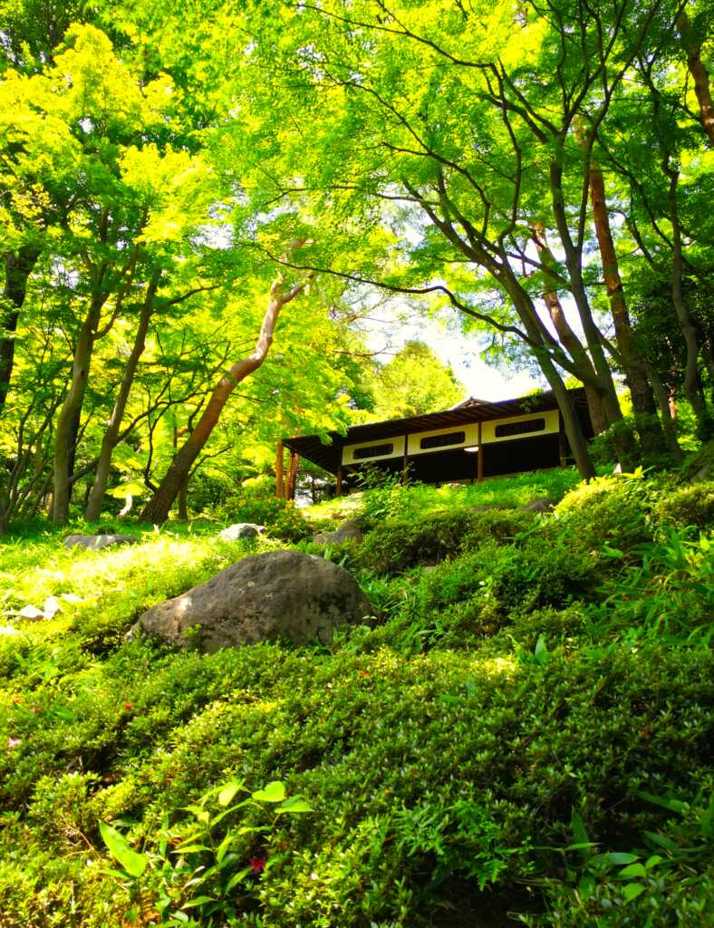 野川・国分寺崖線