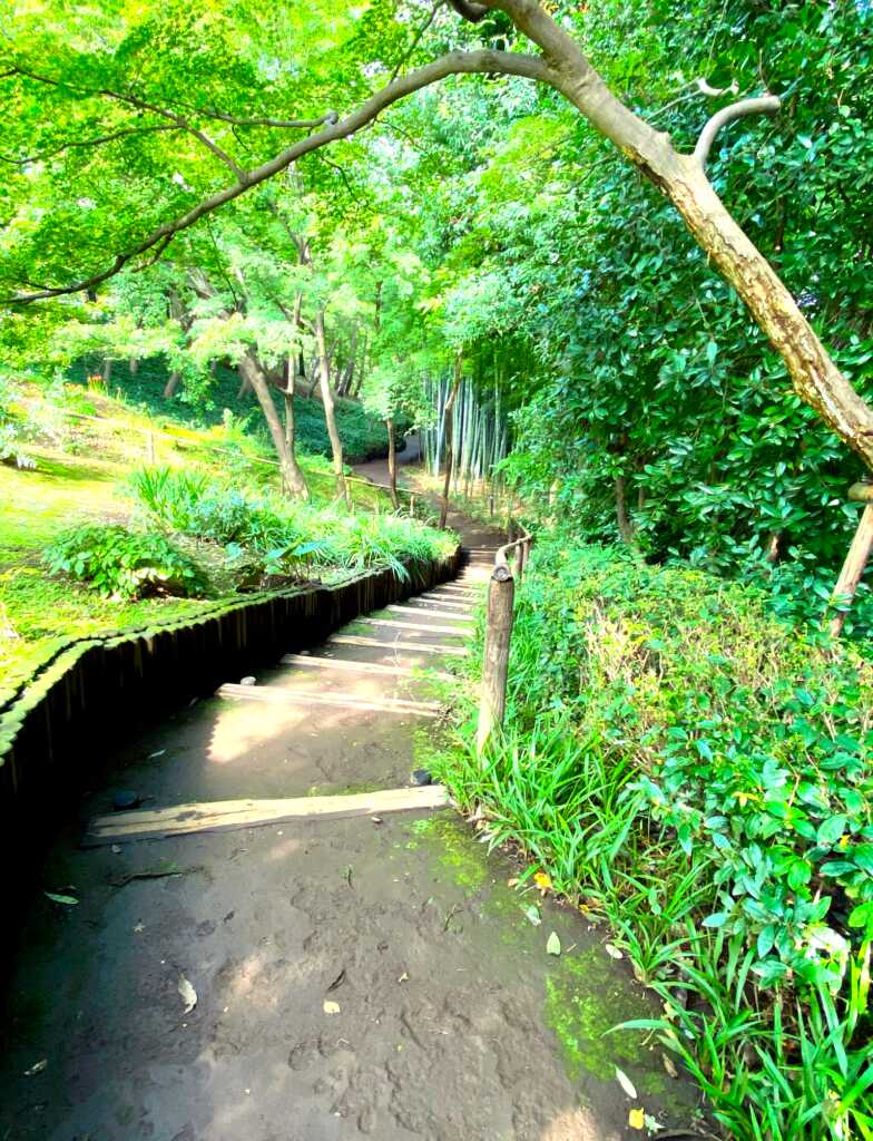 野川・国分寺崖線
