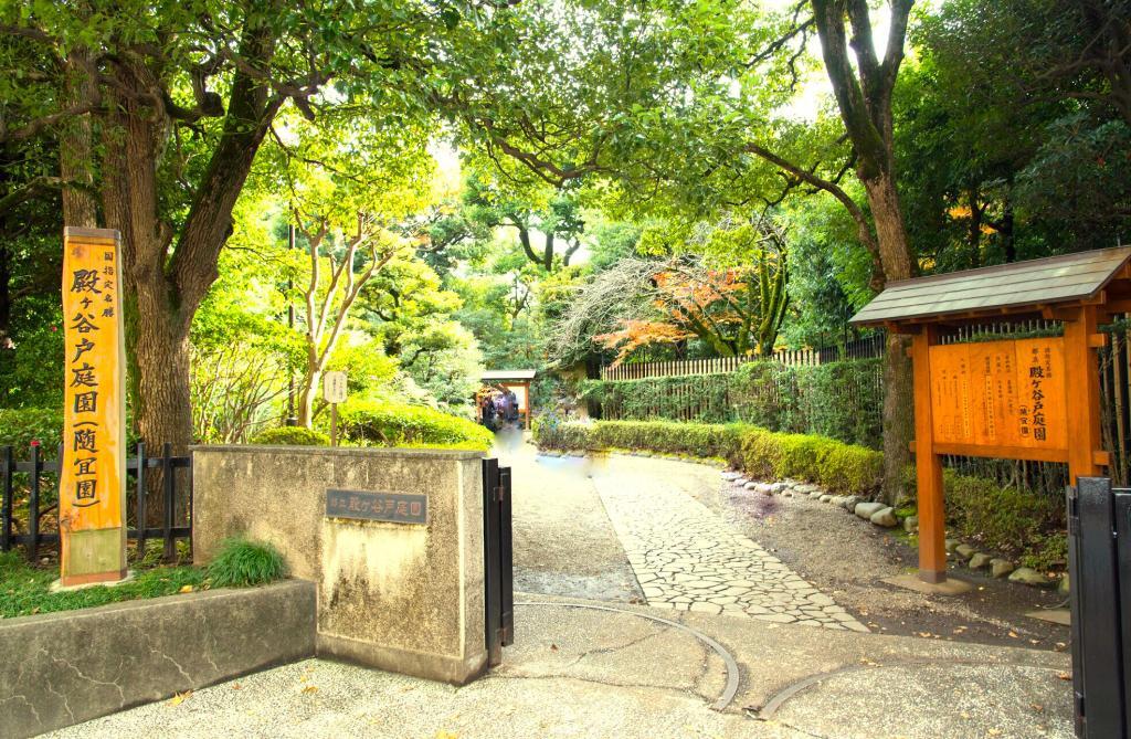 野川・国分寺崖線