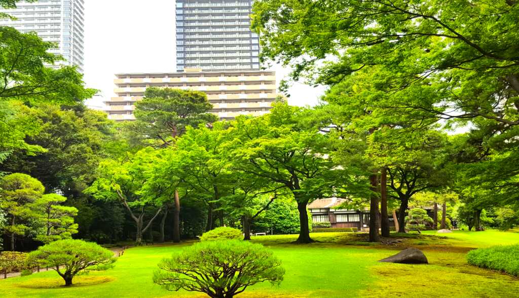 野川・国分寺崖線