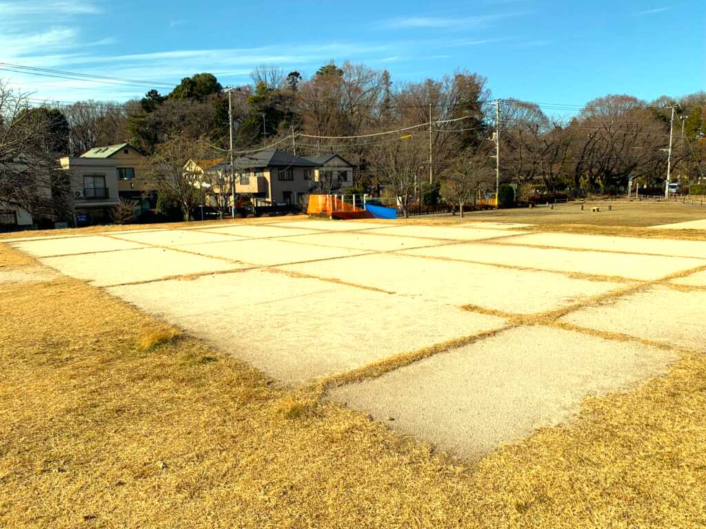 野川・国分寺崖線
