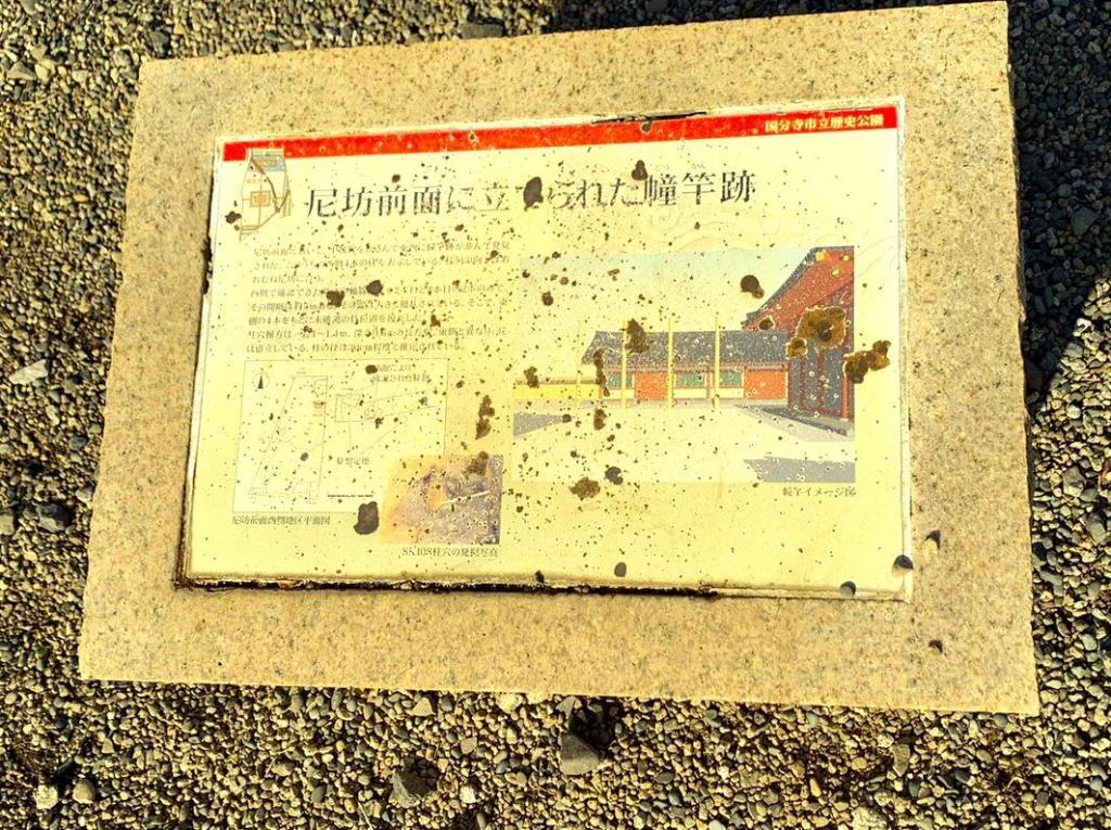 武蔵国分尼寺跡の様子