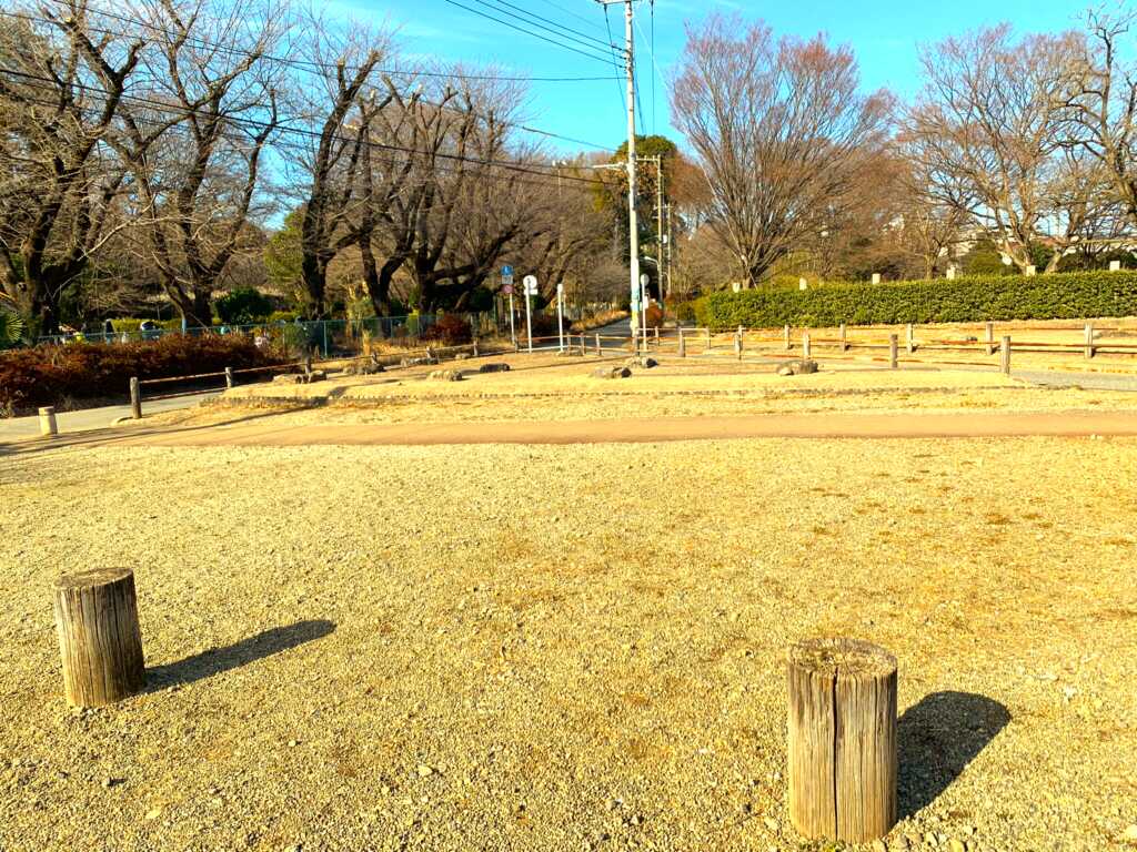 武蔵国分尼寺跡の様子