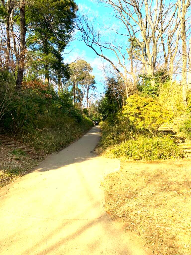 野川・国分寺崖線