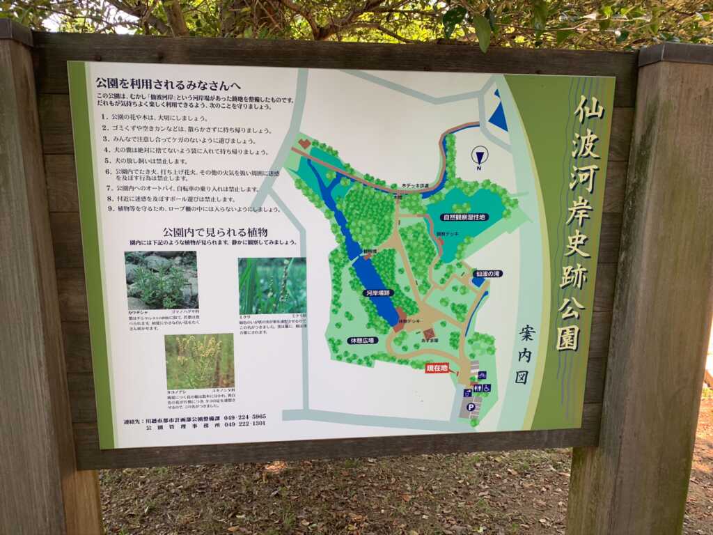 新河岸川