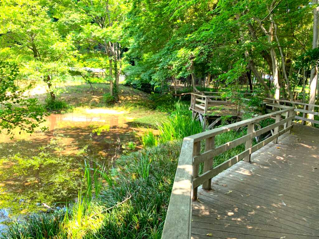 新河岸川・赤間川