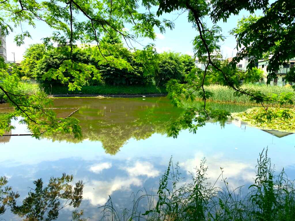 新河岸川・赤間川