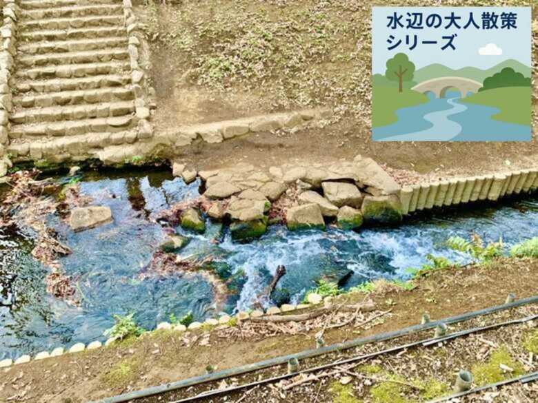水辺の大人散策シリーズ 野火止用水