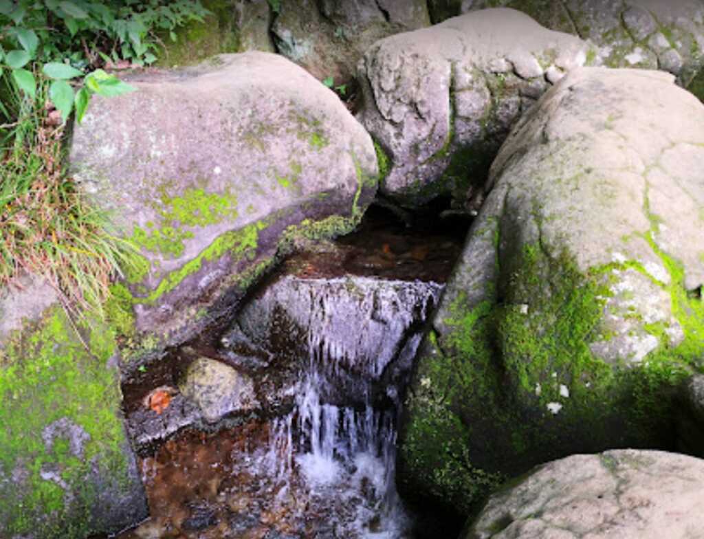 野川・国分寺崖線