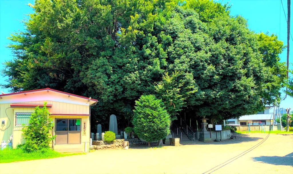 川越・古墳