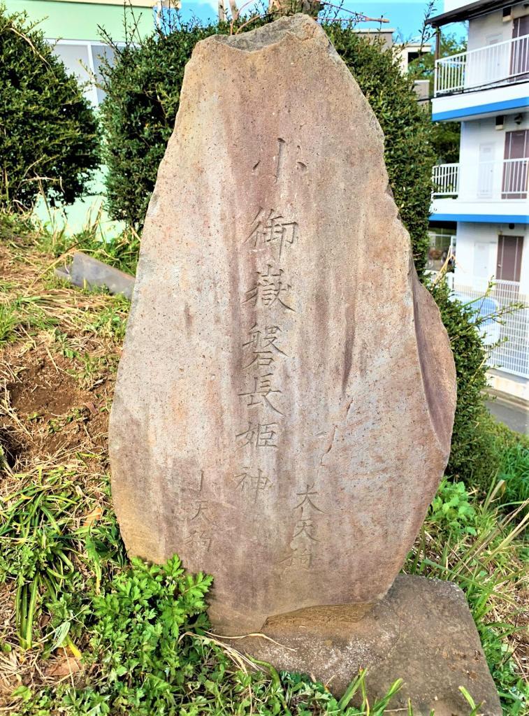 川越・古墳