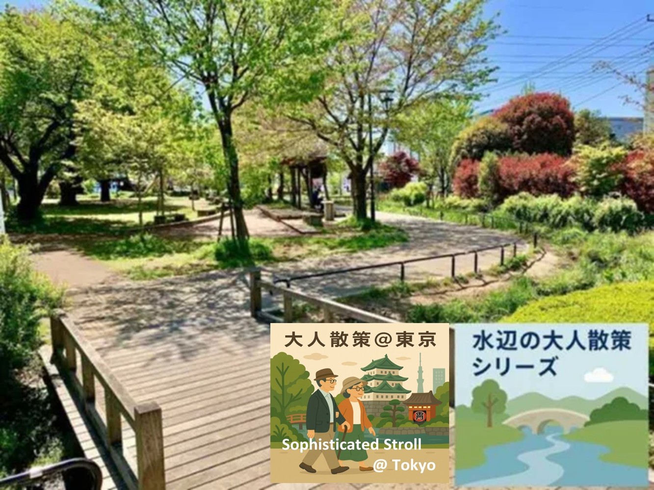 水辺の大人散策シリーズ　野火止用水