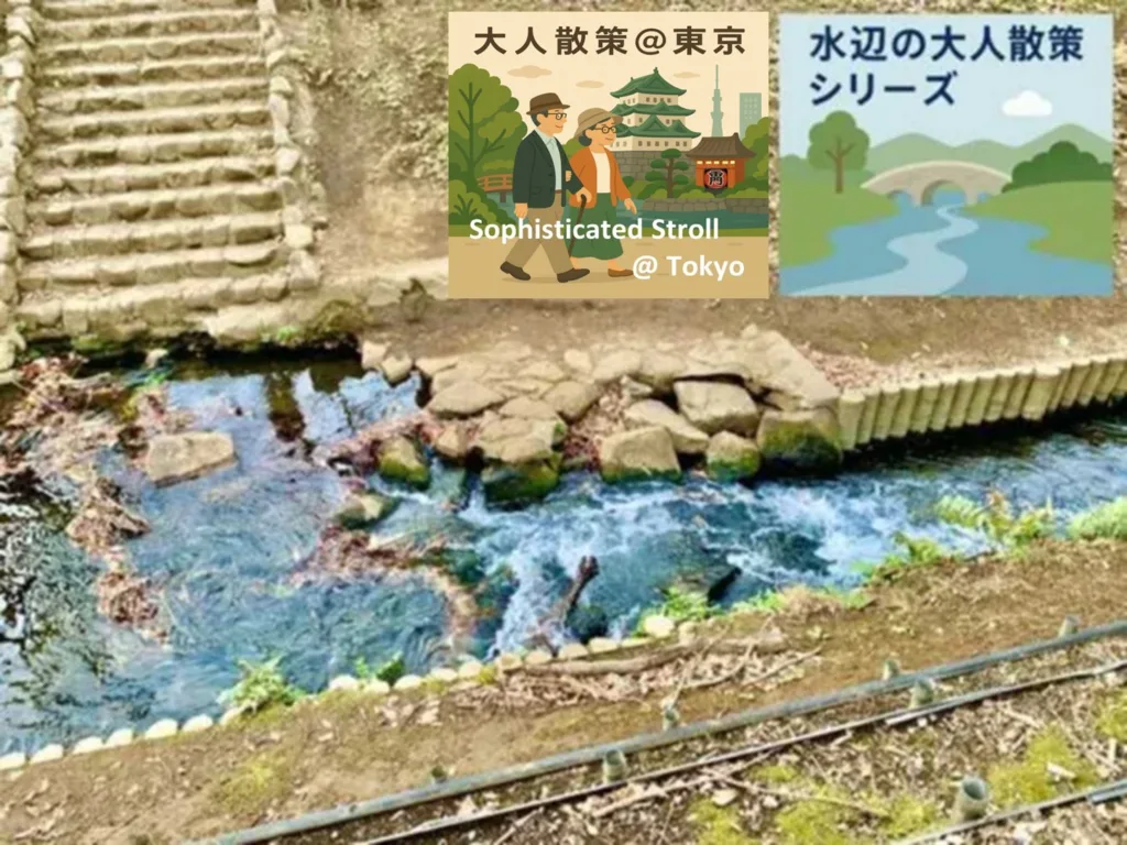 水辺の大人散策シリーズ　野火止用水