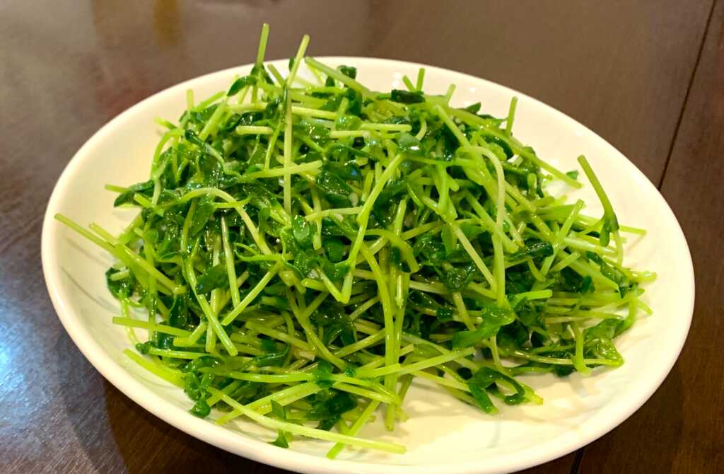 紅陽飯店