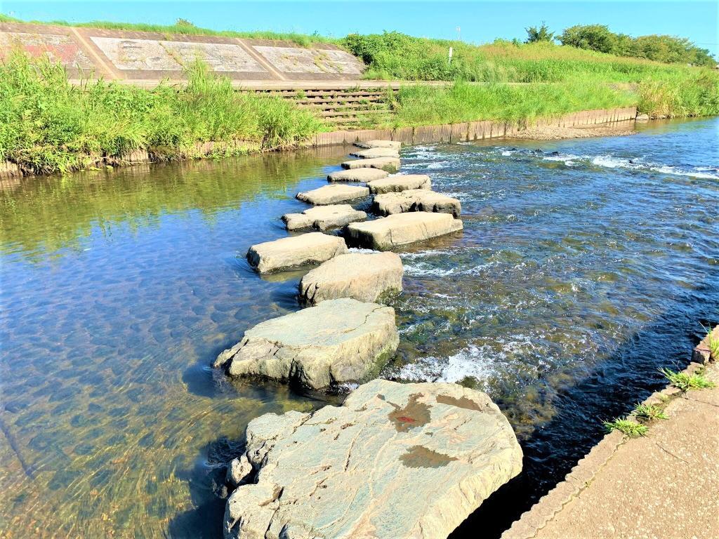 橋