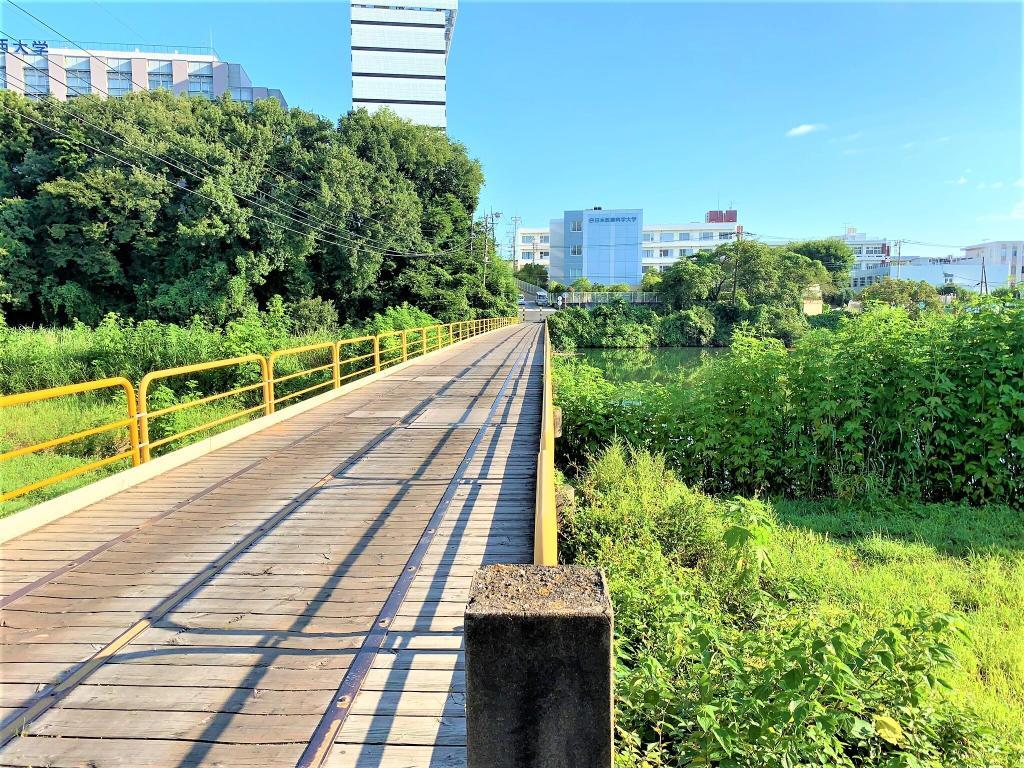 橋