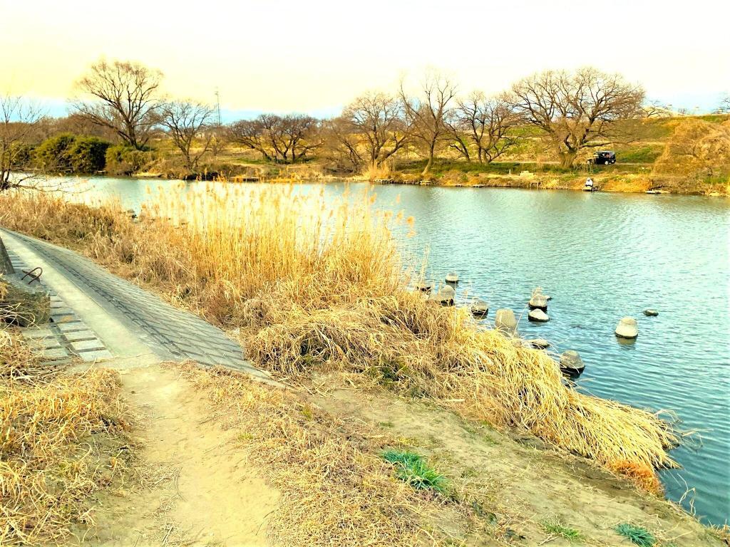 橋